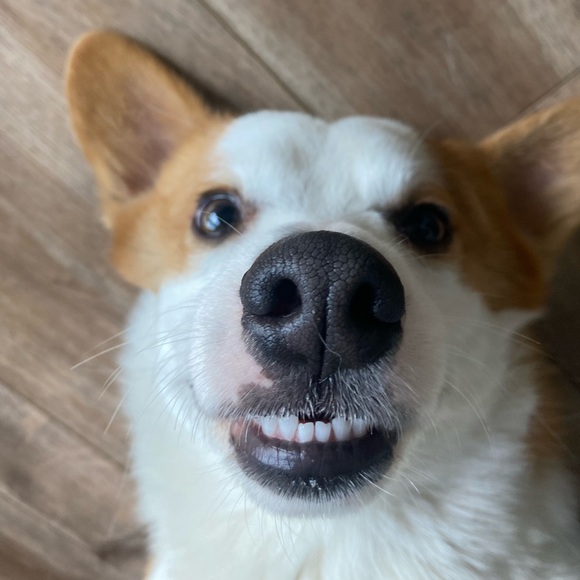 Meet your Posher, Yoana - Picture 1 of 1